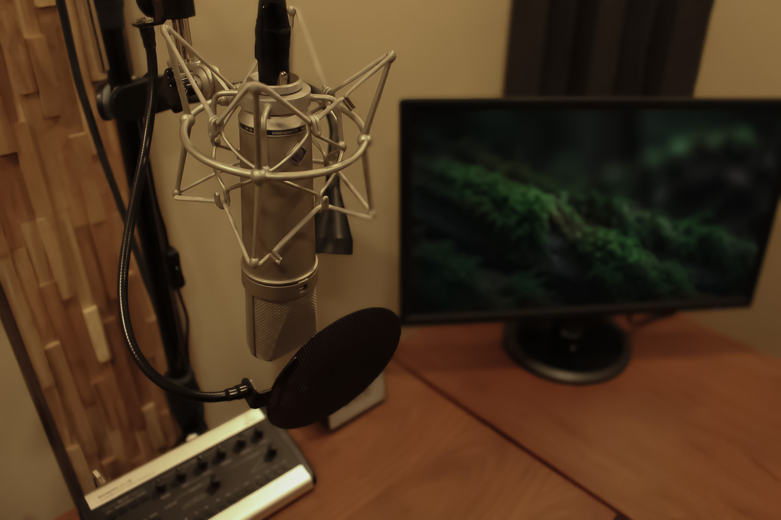 STUDIO BENGUAR でのナレーション収録の様子。