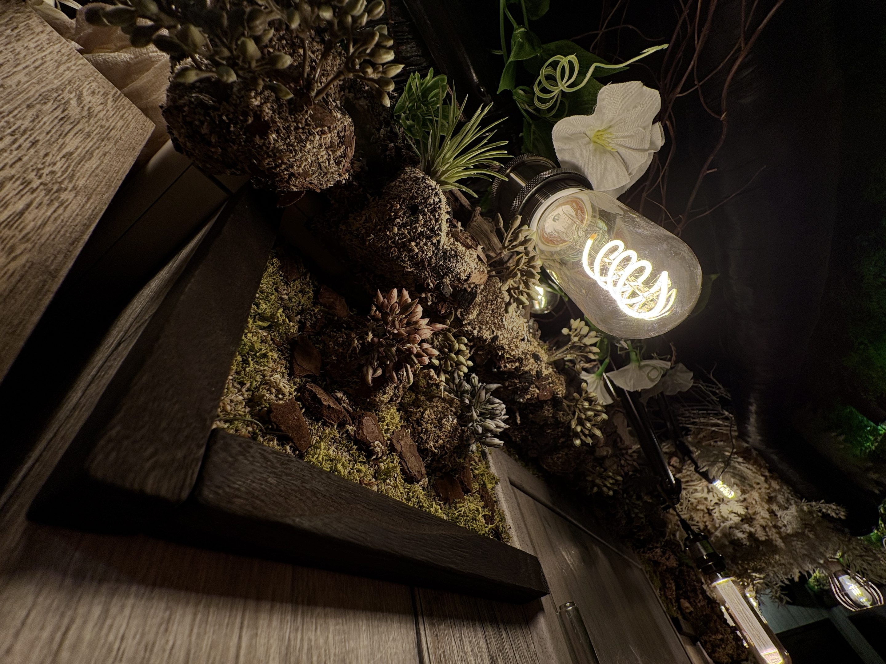 苔と植物を植え込んだ木枠と、フィラメント電球の照明。